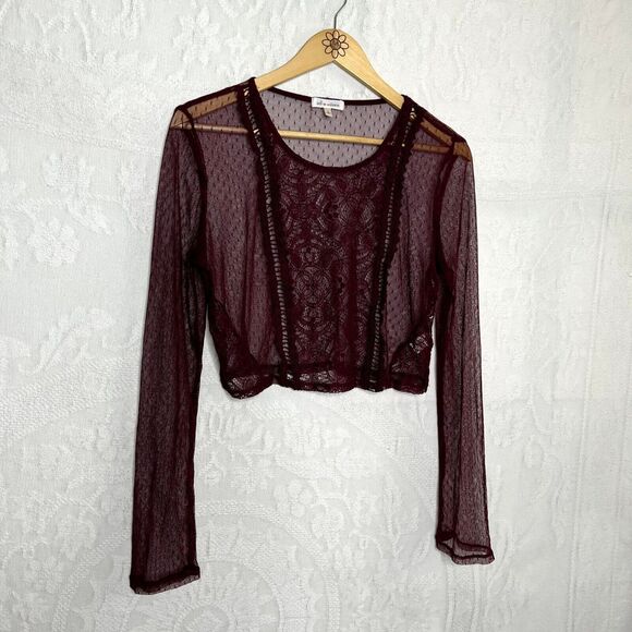 Maroon Lace Mesh Long Sleeve Crop Top - Picture 4 of 8